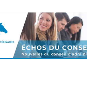 echos conseil